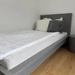 Apartmenthaus Wilder Mann Lejlighed Obrigheim (Neckar-Odenwald-Kreis)
