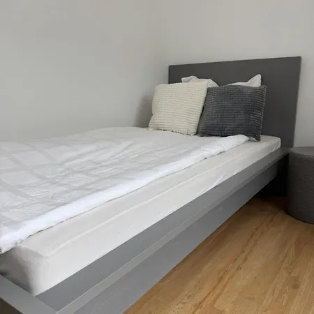 Apartmenthaus Wilder Mann Apartmán Obrigheim (Neckar-Odenwald-Kreis)