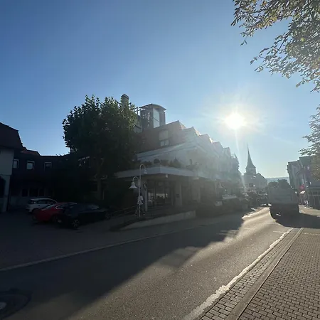 公寓 Apartmenthaus Wilder Mann *