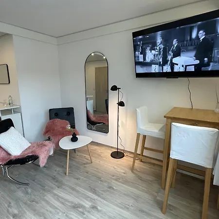 公寓 Apartmenthaus Wilder Mann *