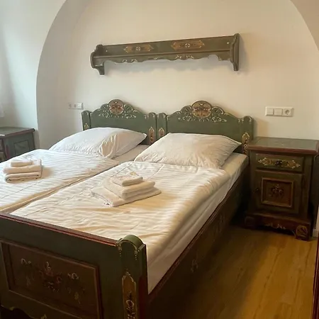 公寓 Apartmenthaus Wilder Mann *