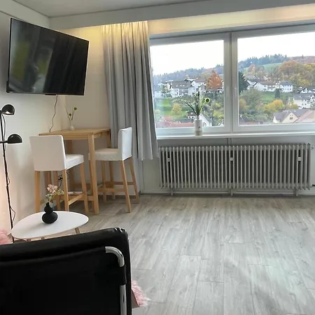 Apartmenthaus Wilder Mann 아파트 Obrigheim (Neckar-Odenwald-Kreis)