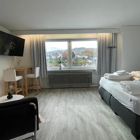 Apartmán Apartmenthaus Wilder Mann Obrigheim (Neckar-Odenwald-Kreis)