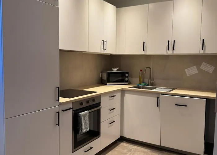 Apartmenthaus Wilder Mann *